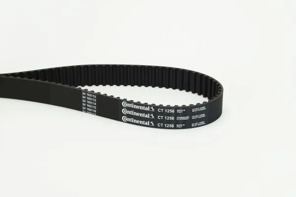 Timing Belt